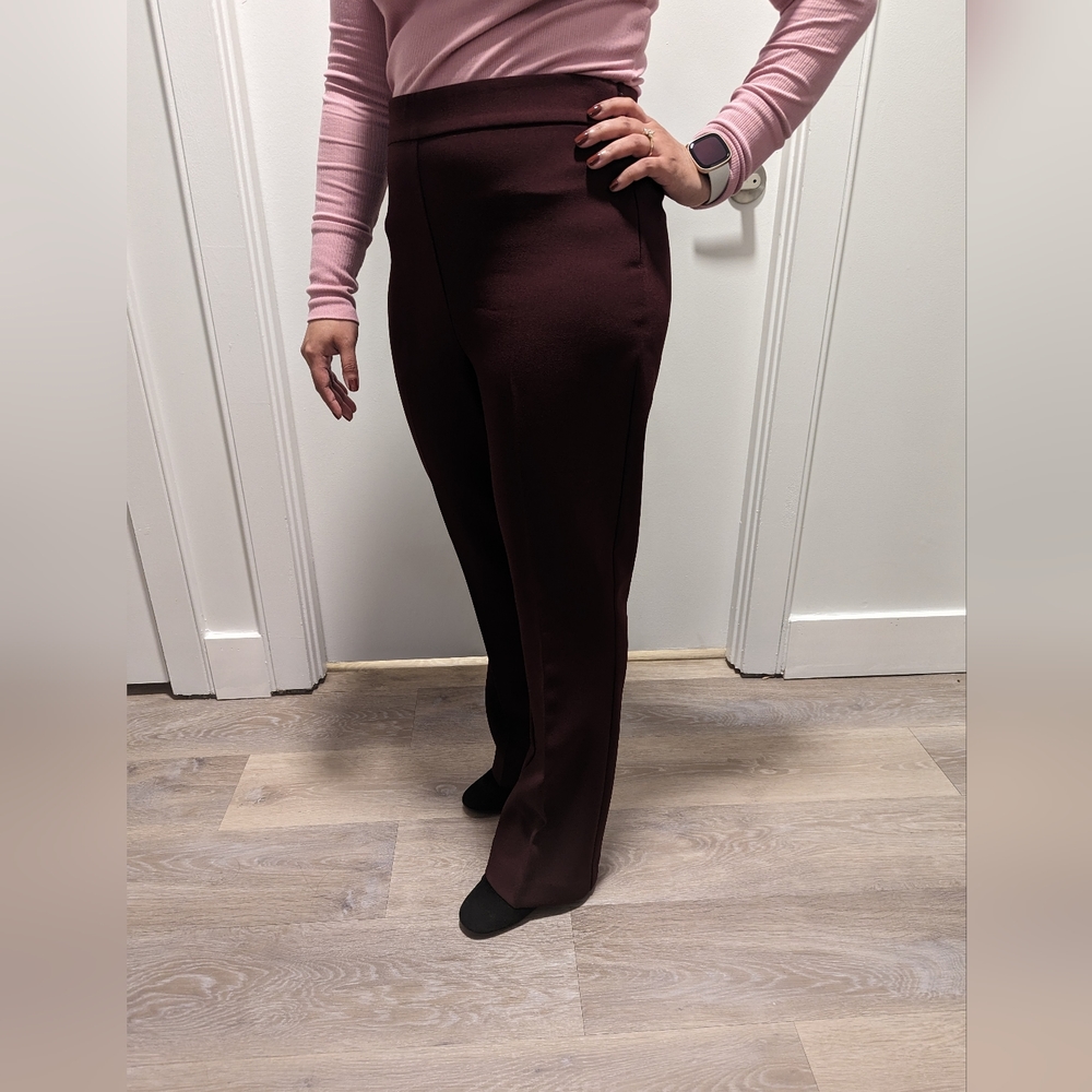Ann Taylor Burgundy Flare Suit Trousers, 10 Petite